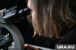 Работы художника Владимира Анискина можно разглядеть только под микроскопом