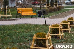 Растения обещали обновить