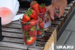 Клубнику завозят из Киргизии, Турции, Азербайджана, Кубани