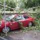 Ураган повредил дома, гадюки кусают детей, школьник сжег икону: восемь главных событий недели в ХМАО