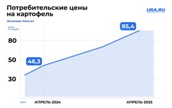 За год картофель в России подорожал почти в два раза