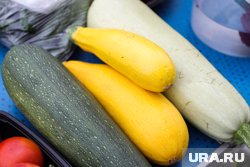 Кабаочк является примером универсального продукта, который подойдет для быстрой готовки блюд