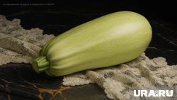 Топ-5 рецептов вкусных и простых блюд из кабачка