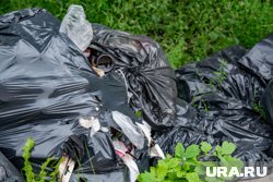заброшенный пустырь, разбитые бутылки и груды строительного мусора