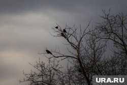Гроза должна завершиться в 21:00 12 июля