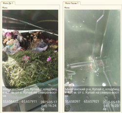 Всего регоператор вывез свыше двух тысяч кубометров отходов с городских кладбищ