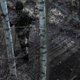 Куда обращаться, если на СВО пропал родственник: инструкция