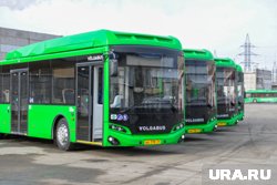 Гостей мероприятия развезут по домам на автобусах