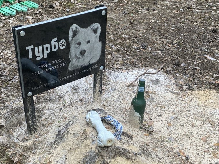 Пес прожил чуть больше года