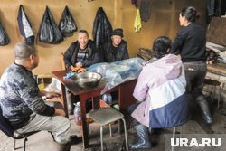 Челябинка фиктивно трудоустроила 16 мигрантов 
