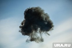 Жительницу Запорожской области включили в реестр экстремистов и террористов за попытку подорвать автомобиль Минобороны РФ