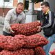 Россию завалили картошкой из Китая и Египта