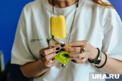 Диетическое мороженое может содержать опасный эритрит