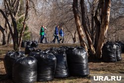 Суммарно вывезли более 155 тонн грязи и 111 тонн мусора