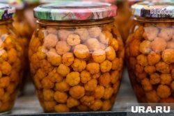 Морошка обладает многими полезными свойствами, но стоит учитывать некоторые нюансы 