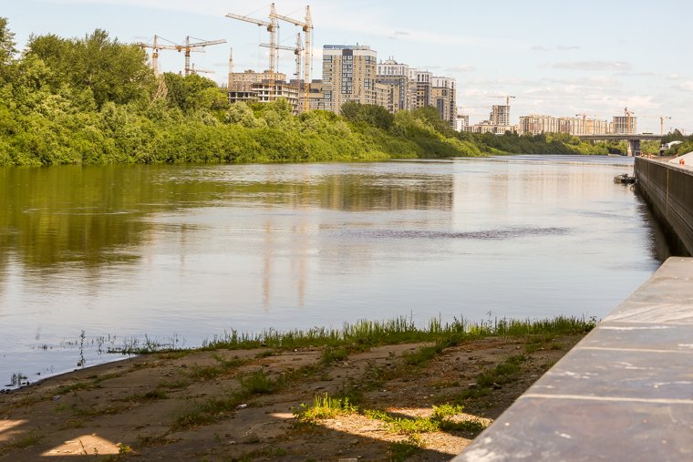 В июне зеленые островки наблюдались только возле моста Челюскинцев (фото сделано 9 июня)