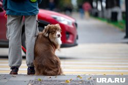 Начало недели в Прикамье обещает быть теплым