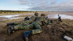 Эстония заявила о готовности направить войска на Украину
