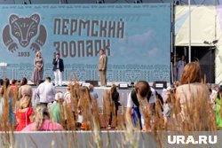 В программе заявлены экологические игры и мастер-классы, экскурсии и выступления творческих коллективов.