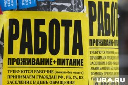 Больше всего предложений в ЯНАО размещено для водителей