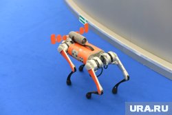 Электронные питомцы скрасили технологические будни участников форума