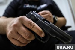 Рогов заявил, что убийца Парубия действовал профессионально
