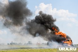 Из-за сильного ветра огонь быстро распространяется (архивное фото)