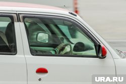 Эксклюзивное авто предлагают покупателям в Челябинской области 