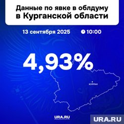 Явка в Курганской области составила почти 5%