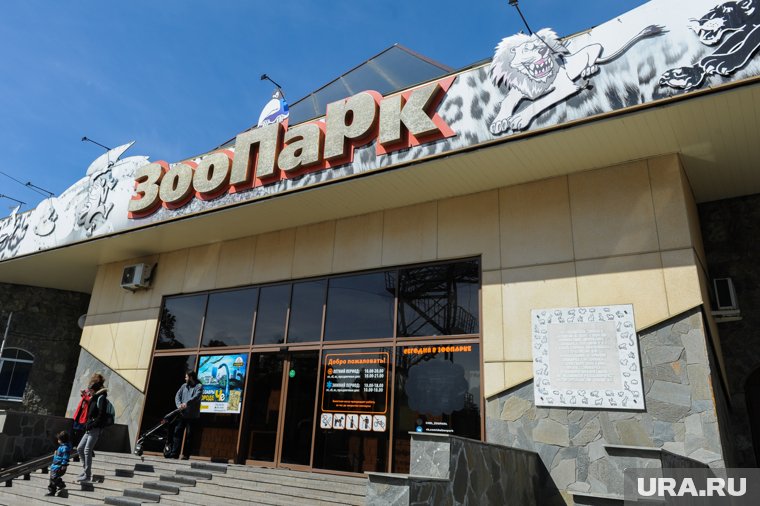 В зоопарках подобные педикюры животным делают регулярно