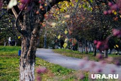 Временное потепление придет в Екатеринбург с 4 октября
