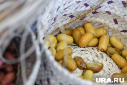 На границе повернули обратно крупную партию фиников из Ирана 