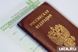 Депутат выступил за возвращение отметок в паспорта бабушек и дедушек об их внуках
