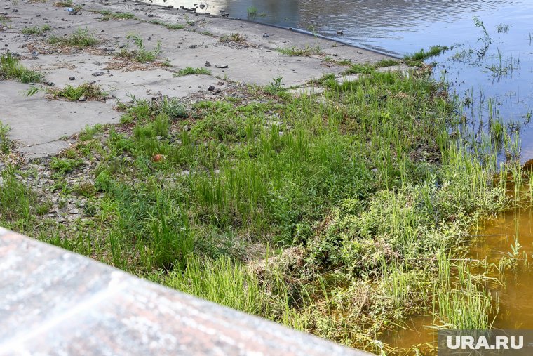 В прошлом году в июле уровень воды уже был ниже -70 см.