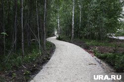 Курганцы жалуются на штыри, из-за которых может произойти авария на дороге