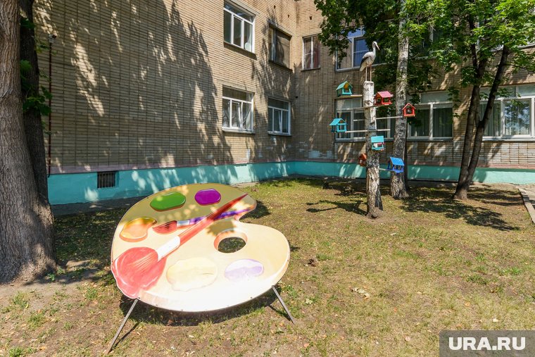 Во дворе детсада Еманжелинска обнаружился очаг бешенства 
