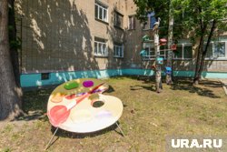 Во дворе детсада Еманжелинска обнаружился очаг бешенства 