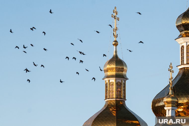 В православных храмах 20 мая вспоминают святого Нила Сорского