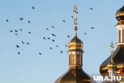 В православных храмах 20 мая вспоминают святого Нила Сорского