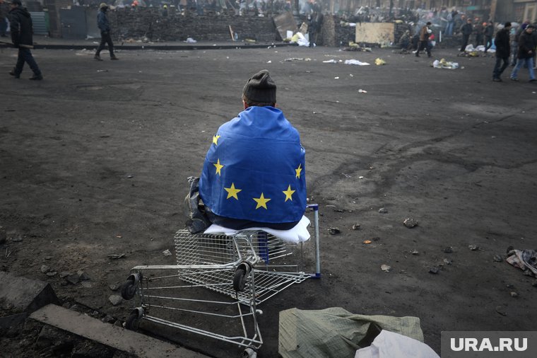На Евромайдане людей добивали топорами и дубинами, заявил Долгошей