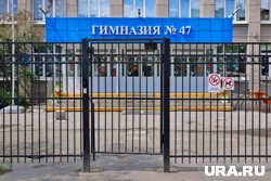 Первое место заняла гимназия №47 в Кургане