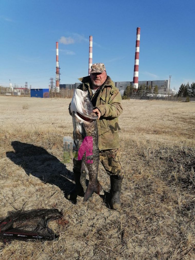 Сургутский рыбак поймал 35-киллограмового толстолобика