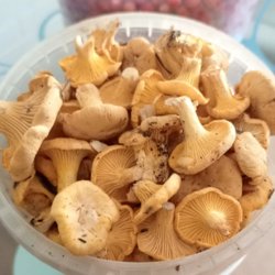 Грибы собрали горожане