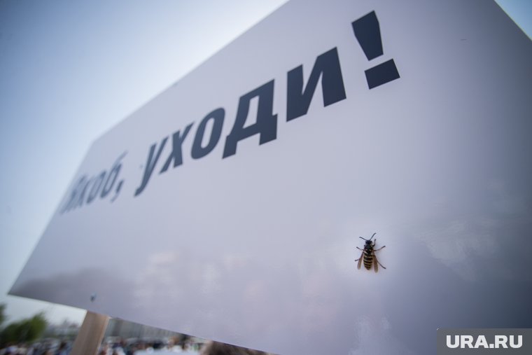 Братья-бизнесмены могут быть причастны к отставке друга губернатора Орловской области