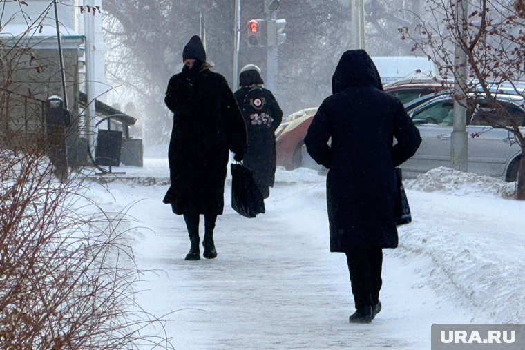 В Челябинской области ночью в низинах 19 февраля ожидается до 31 градуса мороза