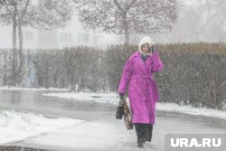 Жители Челябинска увидели первый снег