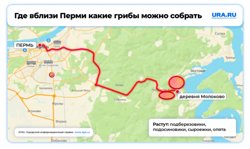 Лесоучасток и Молоково - то что нужно для грибников