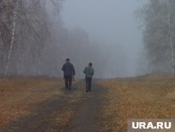 Охота для большинства - это прежде всего общение с природой