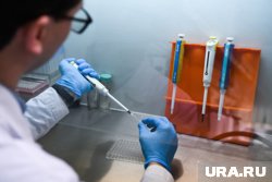 В Нефтеюганском районе объявлен карантин из-за опасных паразитов