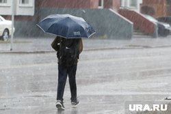 В Тюмени весь день будет дождь и холодный северный ветер (архивное фото)